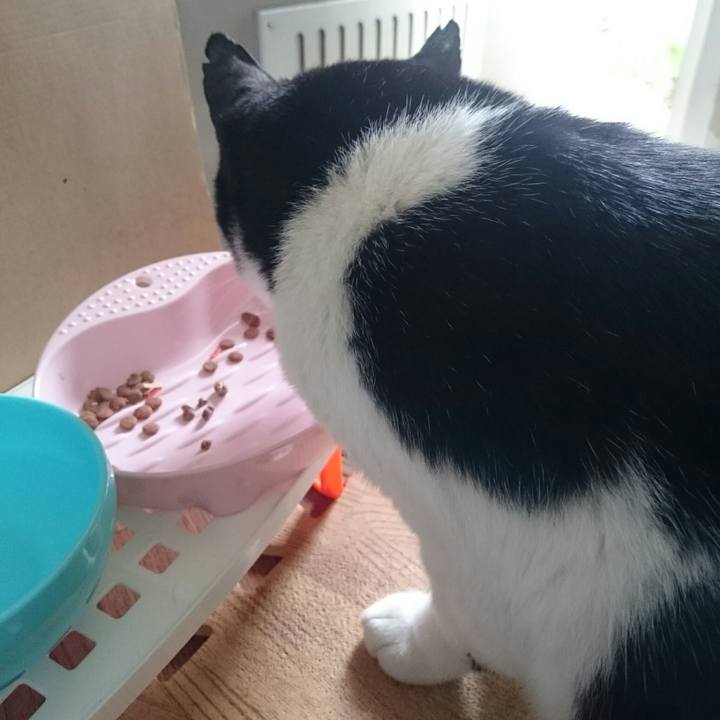 8ec61aa7 75b6 4e71 bd40 cc5341825870 1525923808988