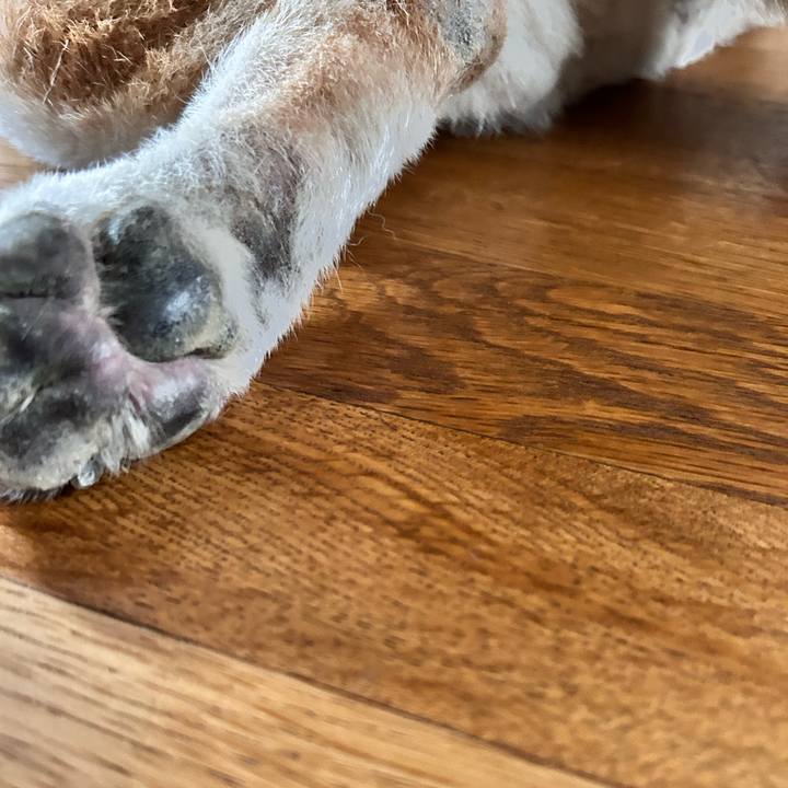 8ec628fc 867f 453c 98a7 d4cde5e71b7a 1752139275392