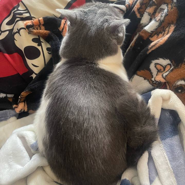 8ec63845 edea 4750 a6a6 effdd9a3f0cf 1739683999453