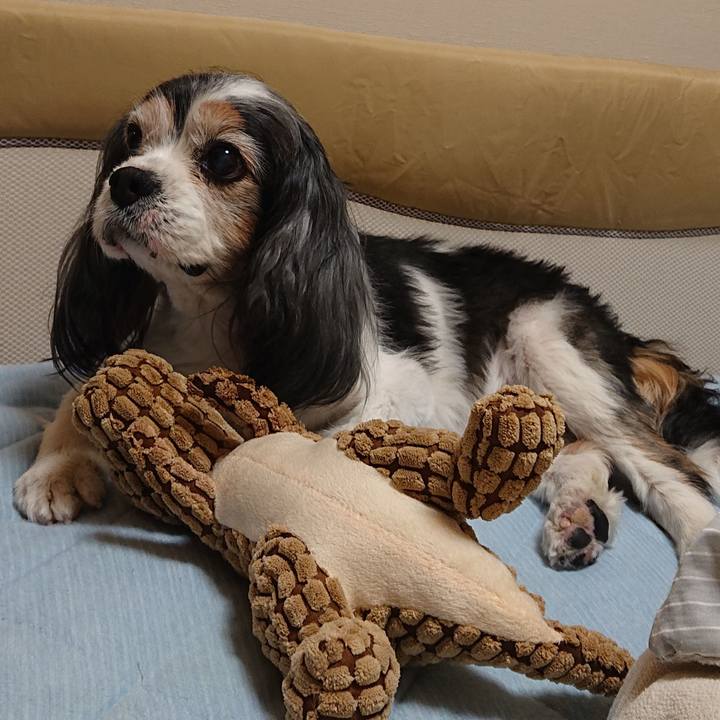 8ec66062 62ce 40bc 9153 09f01bb81abe 1580124686587