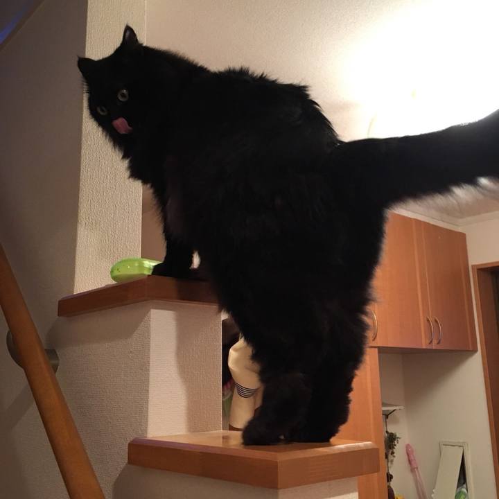 8ec68a2a 2726 4f80 a8c3 b0650ea085b3 1547723678099