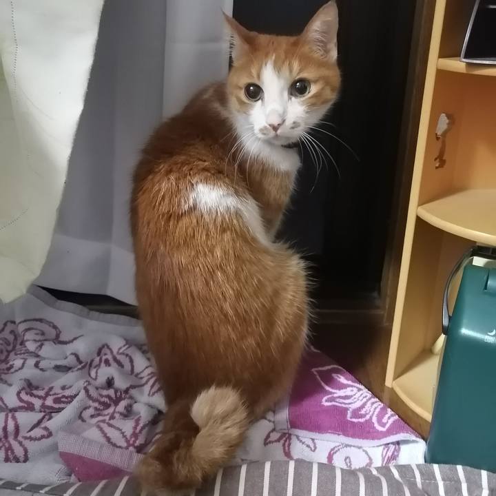 8ec690f6 ddb6 46fa 8331 070e7e4f6ce9 1621253938428