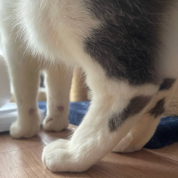 8ec69304 e2f1 4a67 a9f5 bcecc04fc57e 1739428253930