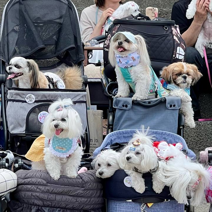 8ec6b73d 147a 4375 b29c 62af9bef9dbd 1747532579236