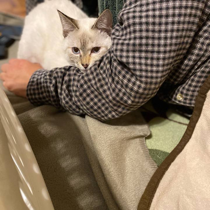 8ec6bba6 33e9 415e 8909 7ee4b373002c 1638716161697