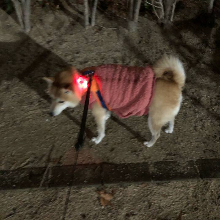 8ec7057f 3842 4f0a b8e3 bbf16791dc24 1576802807340