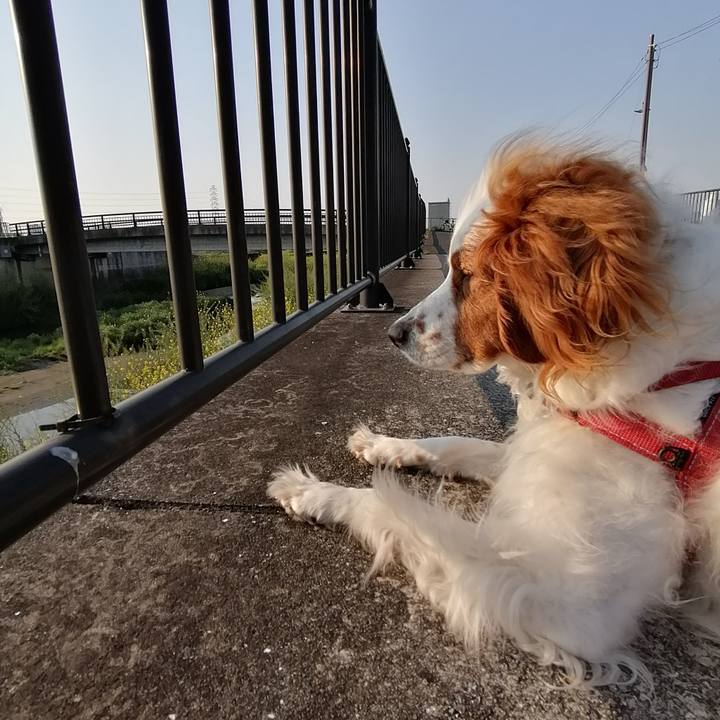 8ec70d43 3e60 472c 82ef c8e6d6602e99 1588150361373