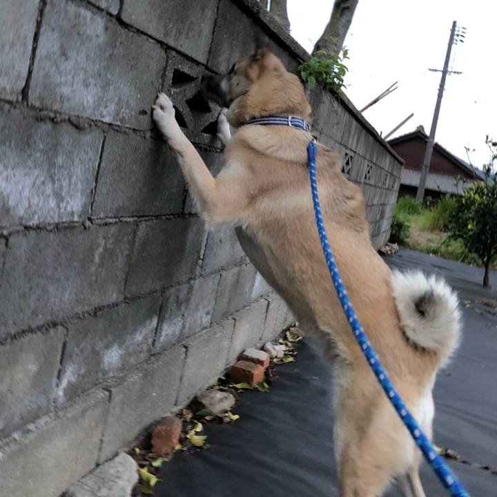 8ec72508 b5ba 409b 8ca5 843e8c29ff80 1618487040481