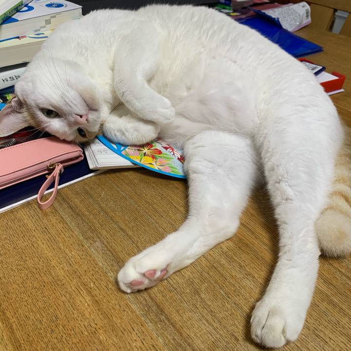 8ec72cac 3083 4d8b b54c 3b614c226647 1629065377527