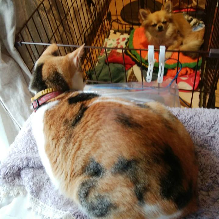 8ec73654 18c7 4caa 9c2f bd4a507b88a9 1522987353888