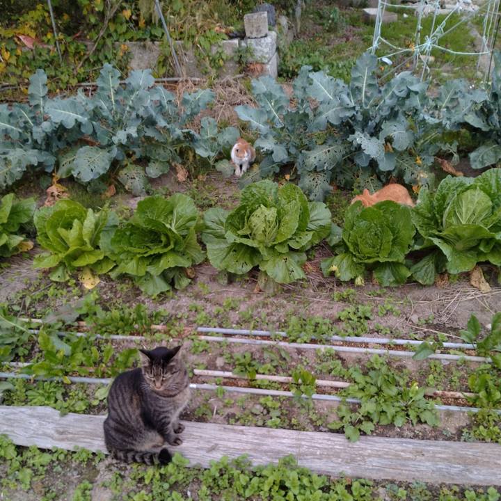 8ec753d8 506f 43a1 9942 e3f92992ed1f 1729242005100