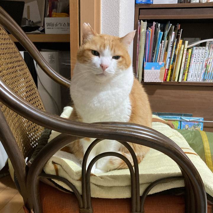 8ec77180 92e6 4492 9804 8971a8163426 1769779113430