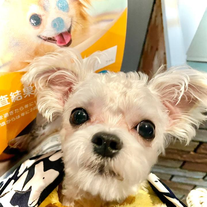 8ec7b600 3ade 46d3 b753 56bf41e7dc7d 1644311509575