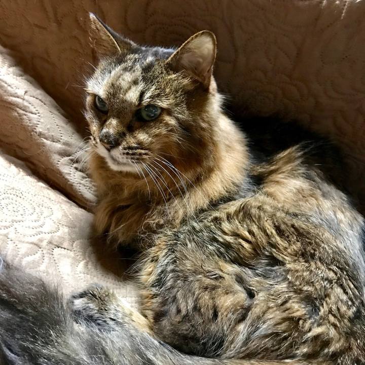 8ec7d4ba 1baf 4f05 9aee cd0a87f5f1b6 1517566596730