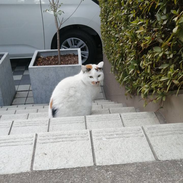 8ec8070b e96b 4bfe 8f39 c935140aa252 1644135194499