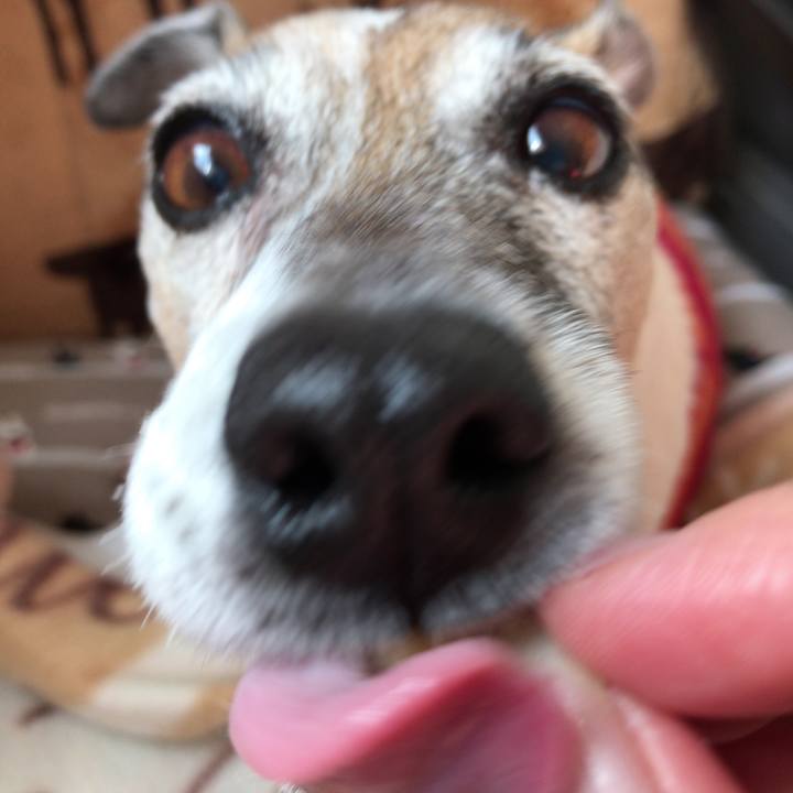 8ec82933 7bf4 435d 9ede c85724d315ac 1522636669998