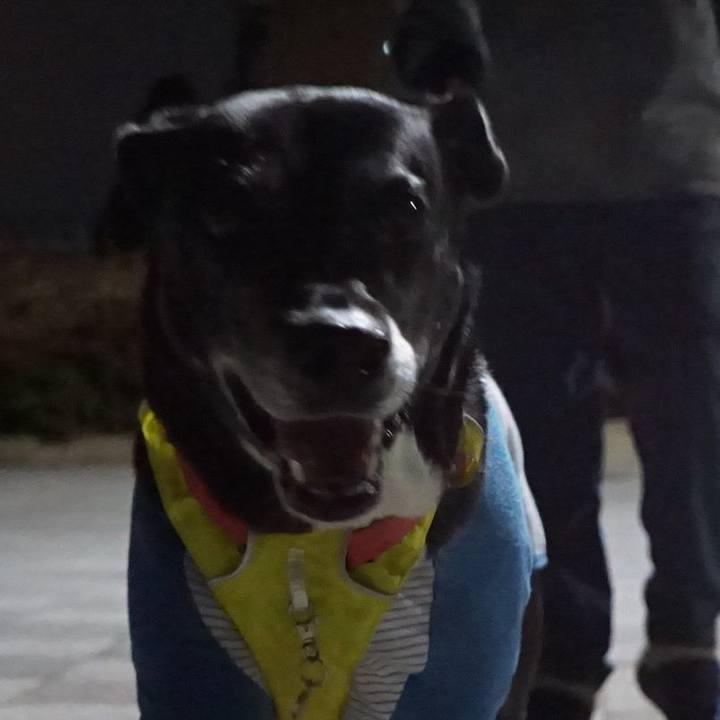 8ec8522a 31c9 4781 9fe6 ad3213f9dd26 1769690519511