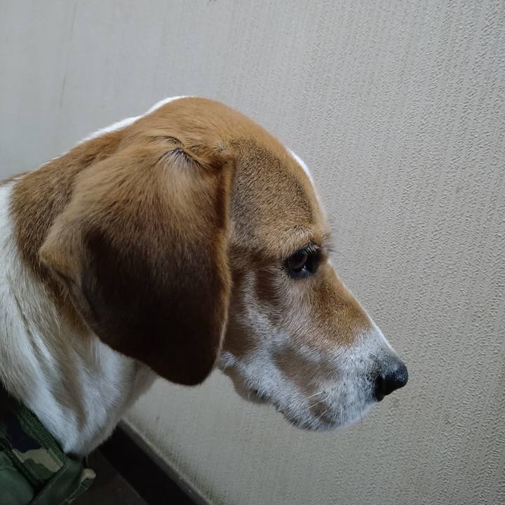 8ec85fcd 9987 4bfd 8528 07c2e200fe57 1671801474936