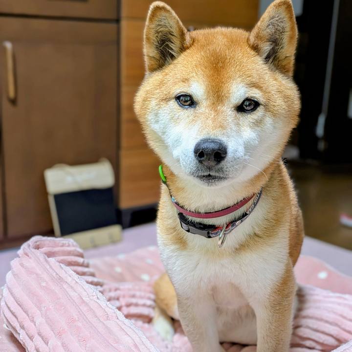 8ec894d9 e93e 44f0 a18a 1ce695b94ffa 1748505873401