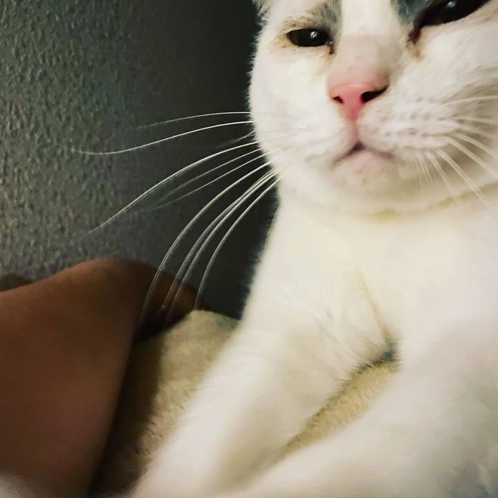 8ec89b46 a9fd 46b1 bdc1 c6b009af2bf6 1577637312807