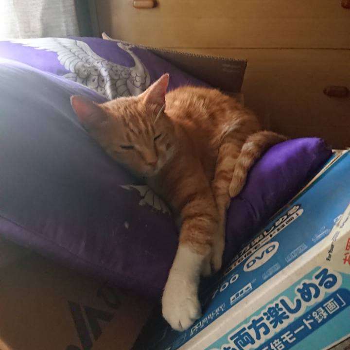 8ec8afea 1679 41aa 886a 83b2660126e8 1596941521891