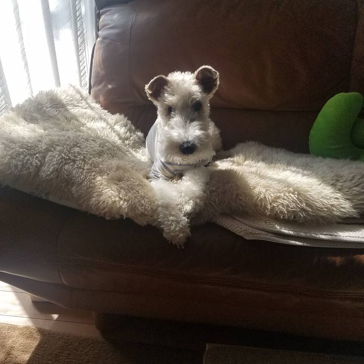 8ec8bf64 6872 4081 bdf2 4873a7cde949 1587098831052