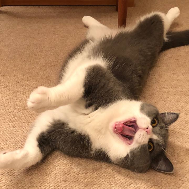 8ec8c14e de86 4e9b a256 bfd0805153f9 1530017138862