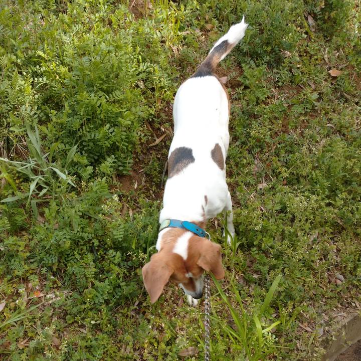 8ec8c8ef 25b0 4381 a869 002a8fb635cf 1615968258240