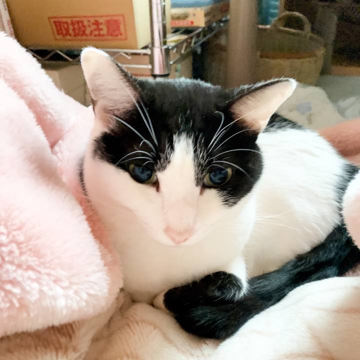 8ec8ec28 5e91 49ce 8791 761ac1866e7a 1545783145024