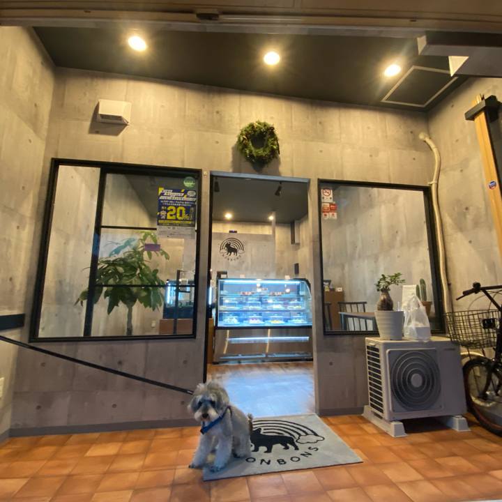 8ec9029c fb03 4005 84ac 0f900abc352e 1645869785851