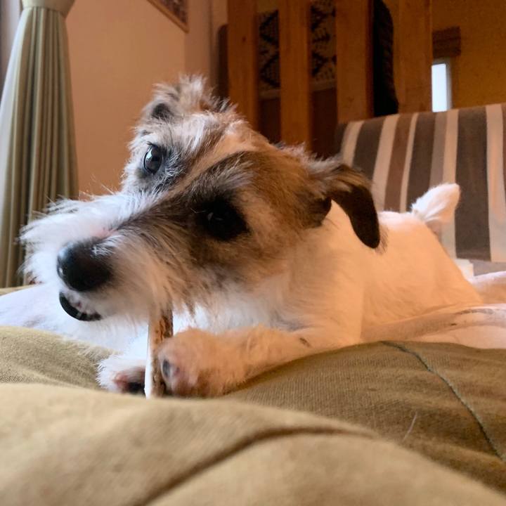 8ec91cb5 e6c9 48e7 8ef0 c4e371b595a9 1574401209553