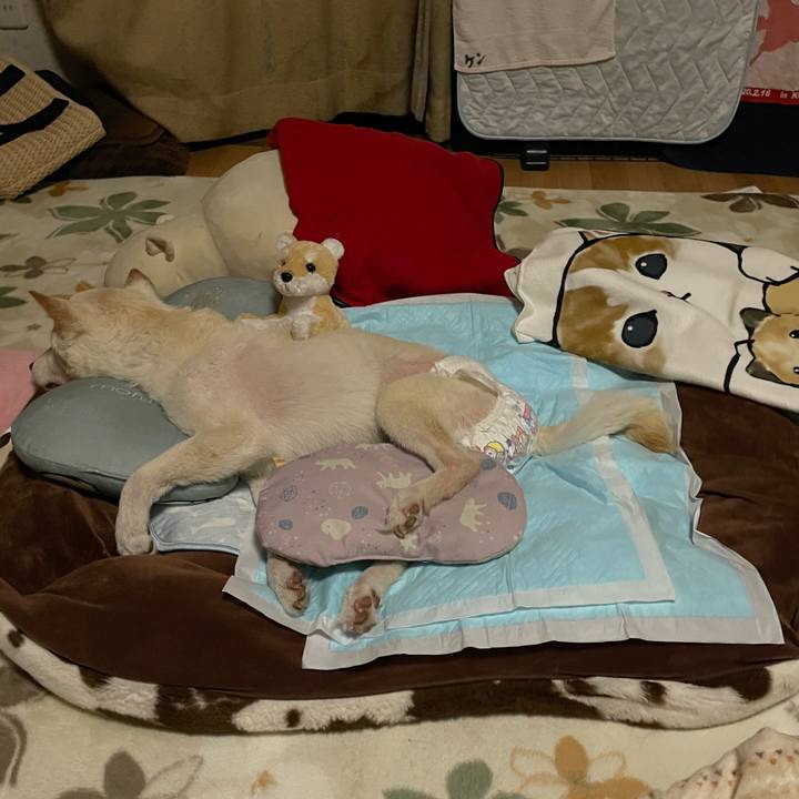 8ec93607 1ca7 46b4 aa91 bdac179c6a2d 1681824776994