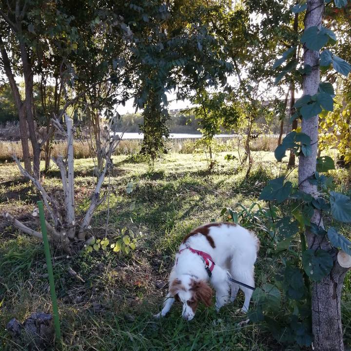 8ec99566 f0ae 458a adc3 024f189eb2ff 1574326727387