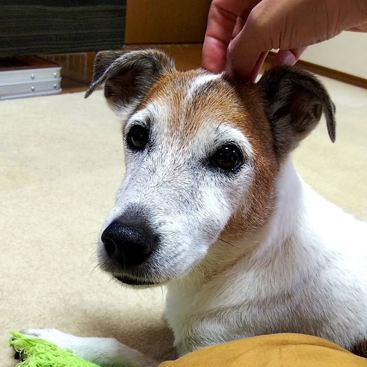 8ec996ae 2c06 4d6b a1f1 0096942c7103 1535378026915