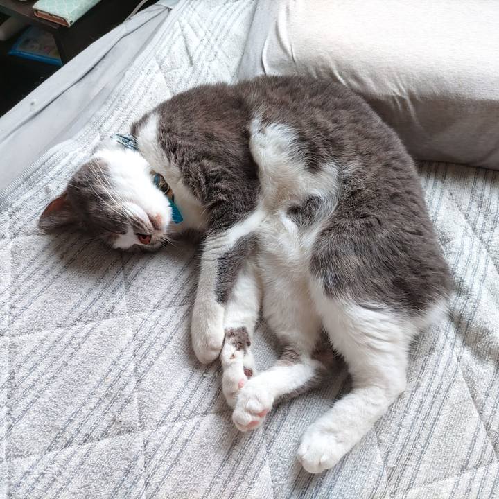 8eca3841 c0db 4ff3 9861 0abfa0c165be 1721176746421