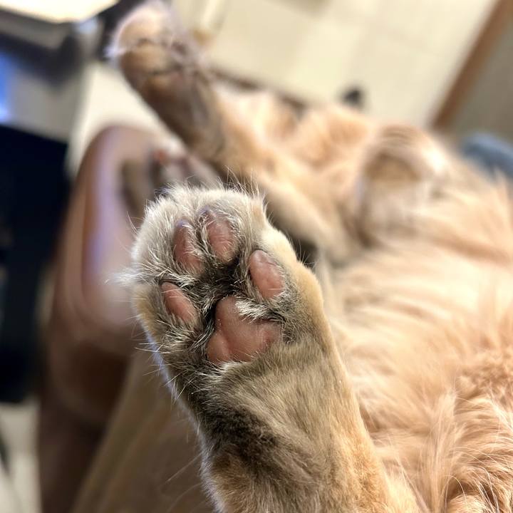 8eca72ba e8cc 4bb8 8ec0 b000c97139f1 1770206864346