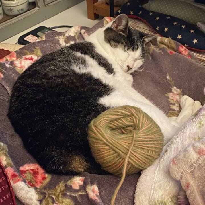 8ecab142 c052 46f0 a336 9475800123ff 1641565734263