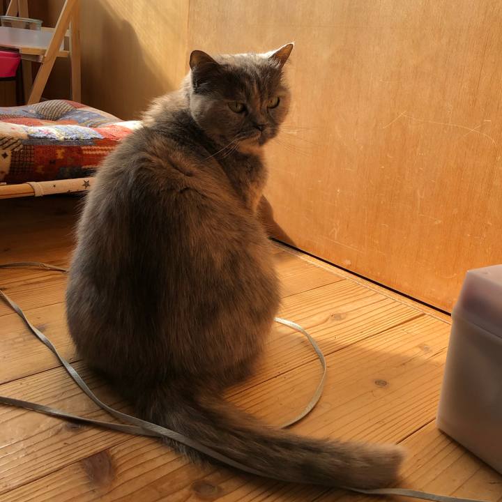 8ecac80e f011 40ab ba16 0202bfb902b4 1672028726211