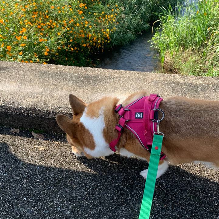 8ecaf6c4 0be6 4819 9f06 4bb37308cd1d 1632356228906