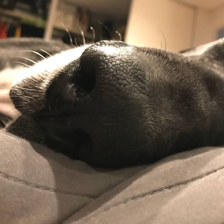 8ecaf984 41d5 44d8 9320 219ee4e14a21 1523746059142