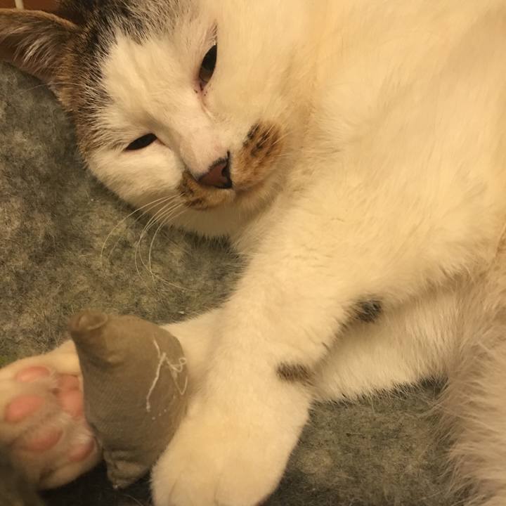 8ecb14b6 c0d4 4411 a99b a3e0861e27c1 1517745120732