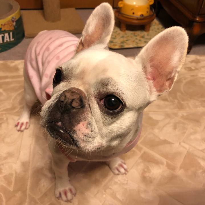 8ecb3aaa 5bd1 4c01 ba09 8218521fe73e 1551789646075