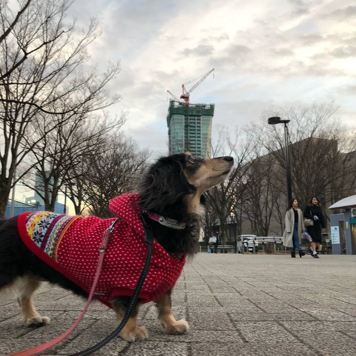 8ecb7805 09ae 473b 82a1 681daeaeb48c 1578297067153