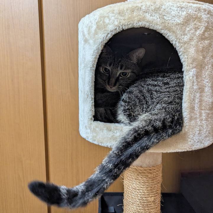 8ecb905a 130b 4cc0 b220 8ca9f792b95a 1747980570352