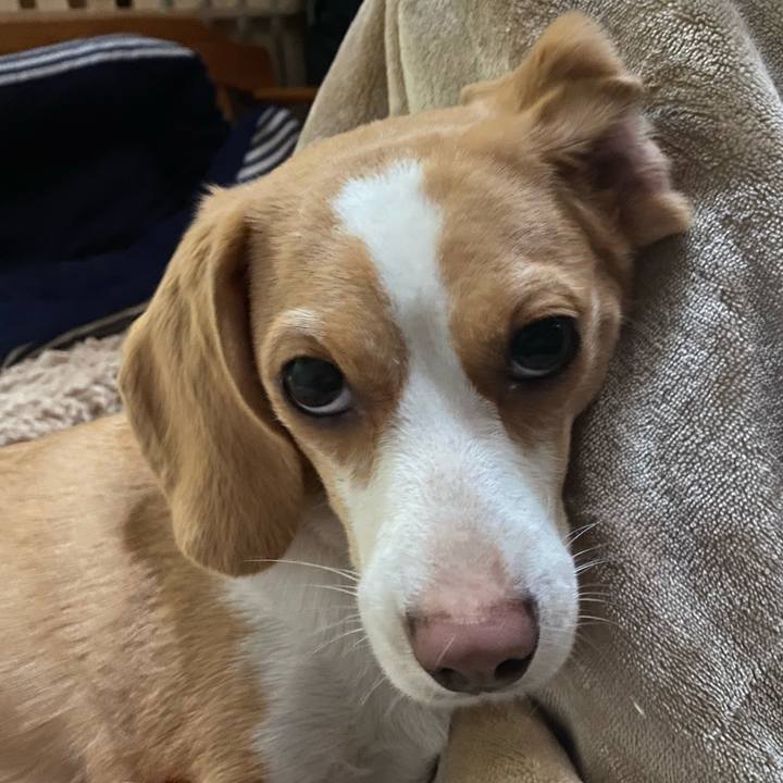 8ecba0e0 9863 495a 93d9 39400c0bc70a 1593209592795