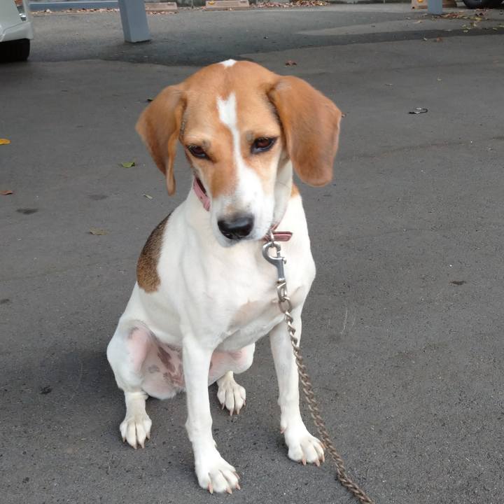 8ecbc2ae 0de5 4d72 a65c ff61423327c1 1599460735905