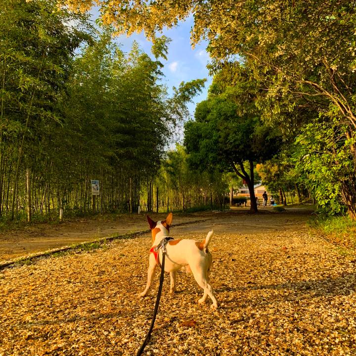 8ecbc9b5 30bd 4b4a b975 f613a1d35e29 1558006621282