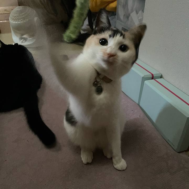 8ecbe5c7 0e71 464c 81fa a0cbab8c367c 1753912357558