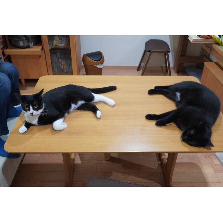 8ecc24fa 6f35 446c 9a66 c4cd0f089066 1598709411577