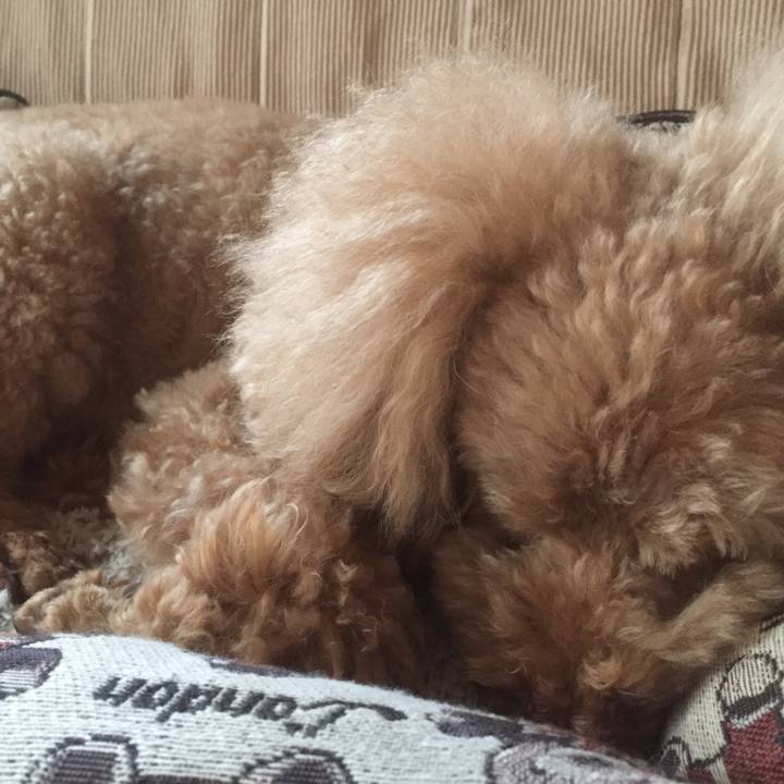 8ecc36b7 811e 4b50 b59f 459fb408ef21 1539727968358